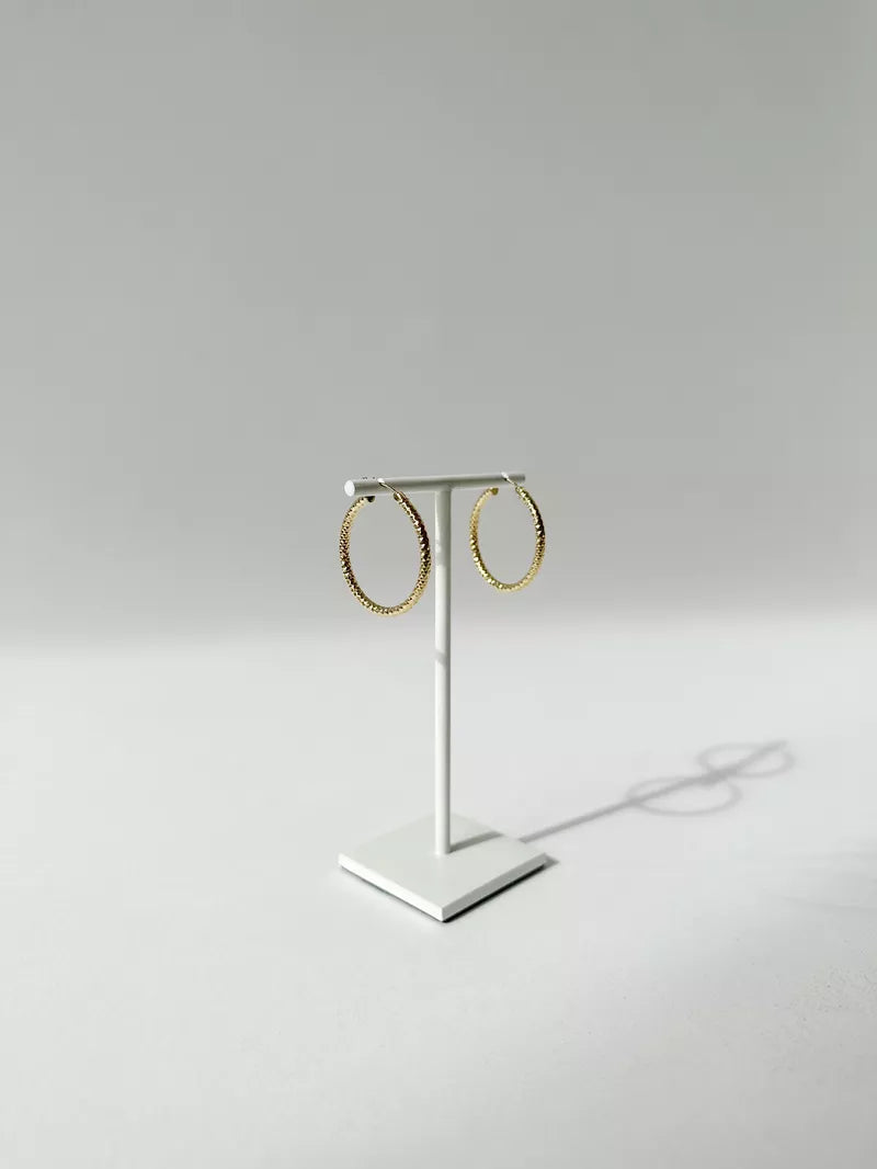 SHINY FACED HOOPS